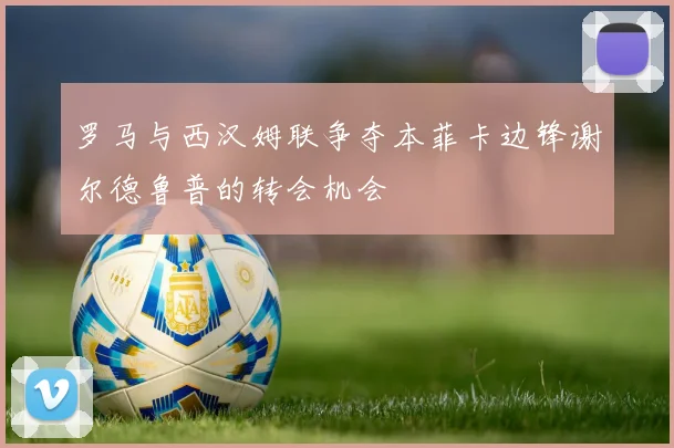 罗马与西汉姆联争夺本菲卡边锋谢尔德鲁普的转会机会