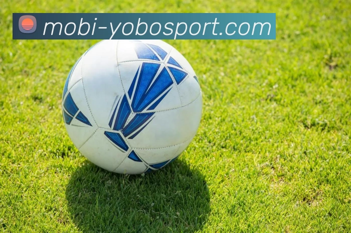 yobo体育APP 高清赛事图